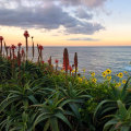 Why Orange County is the Perfect Place for Businesses to Flourish