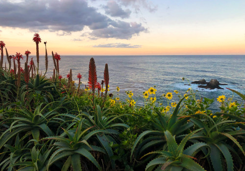 Why Orange County is the Perfect Place for Businesses to Flourish